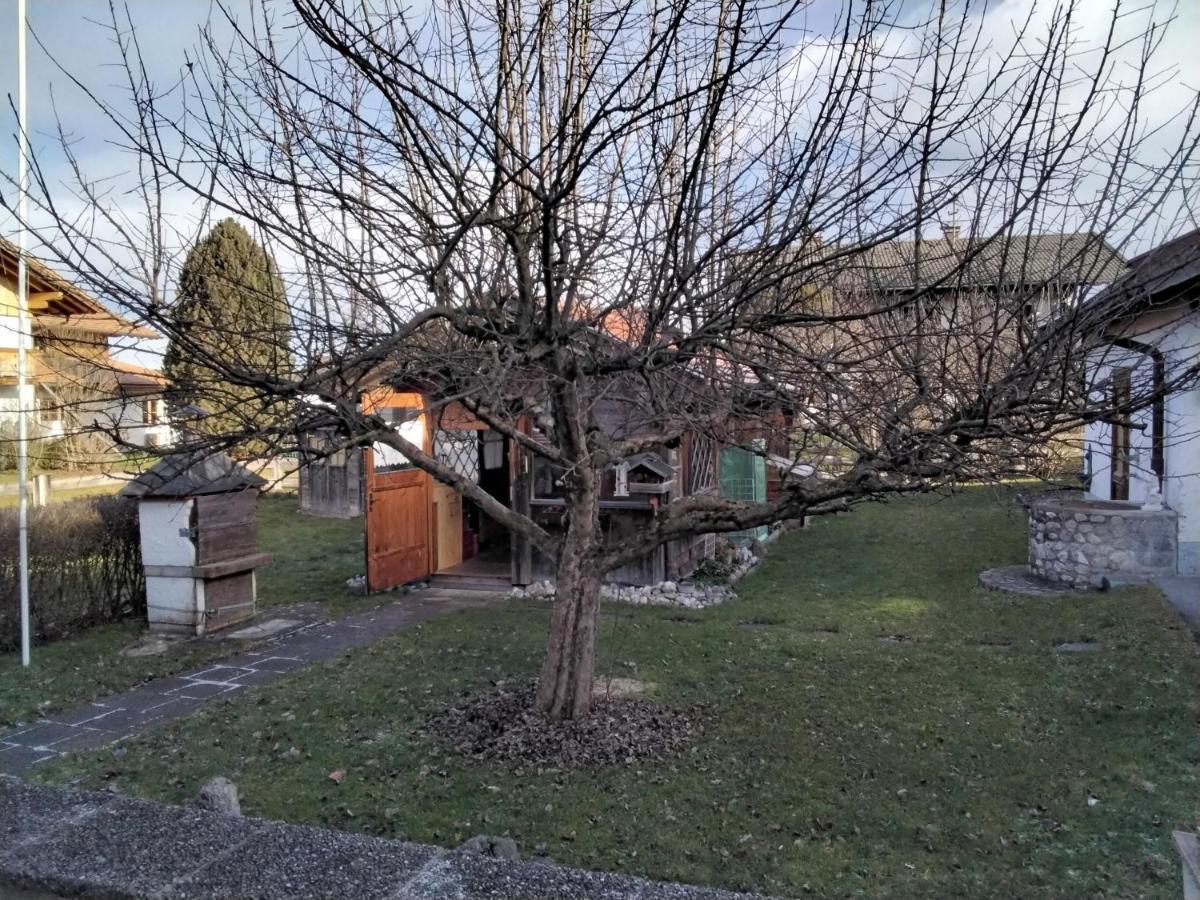 Ferienwohnung Maxl Fischbachau Dış mekan fotoğraf